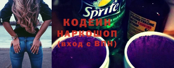 крисы Инта