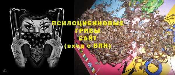крисы Инта