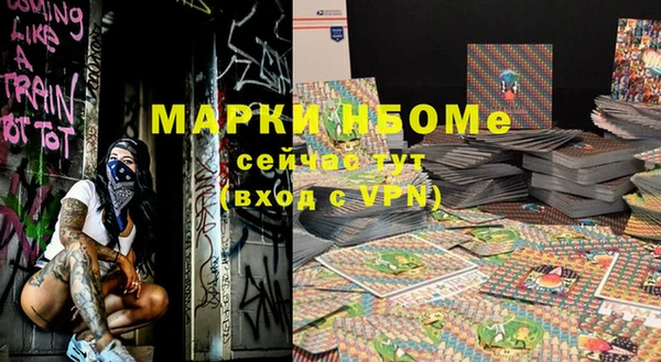 крисы Инта