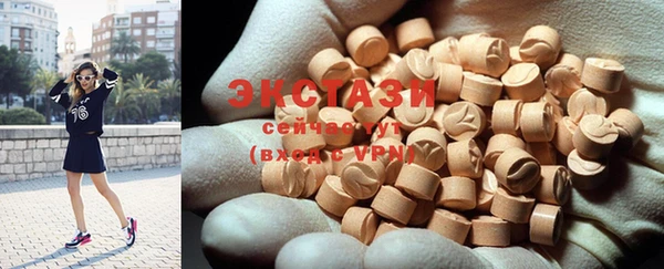 крисы Инта