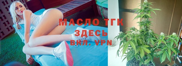 крисы Инта