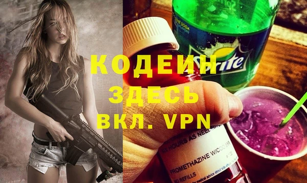крисы Инта