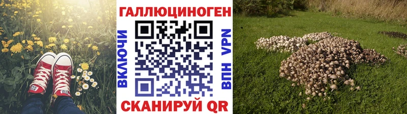 Купить закладки  Липки  Галлюциногенные грибы Cubensis 